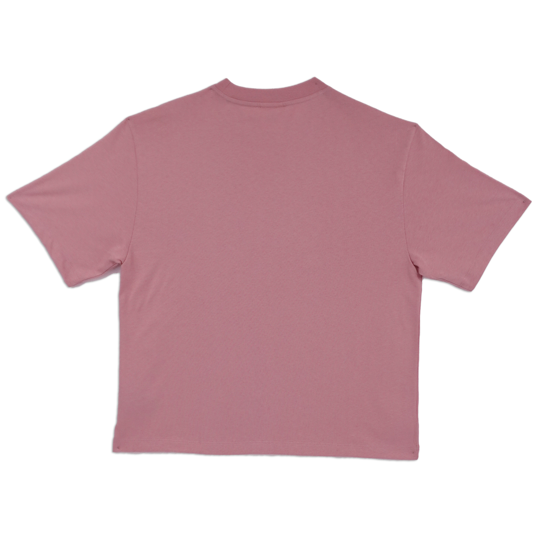 MUST HAVE 4R TEE (Polvere)