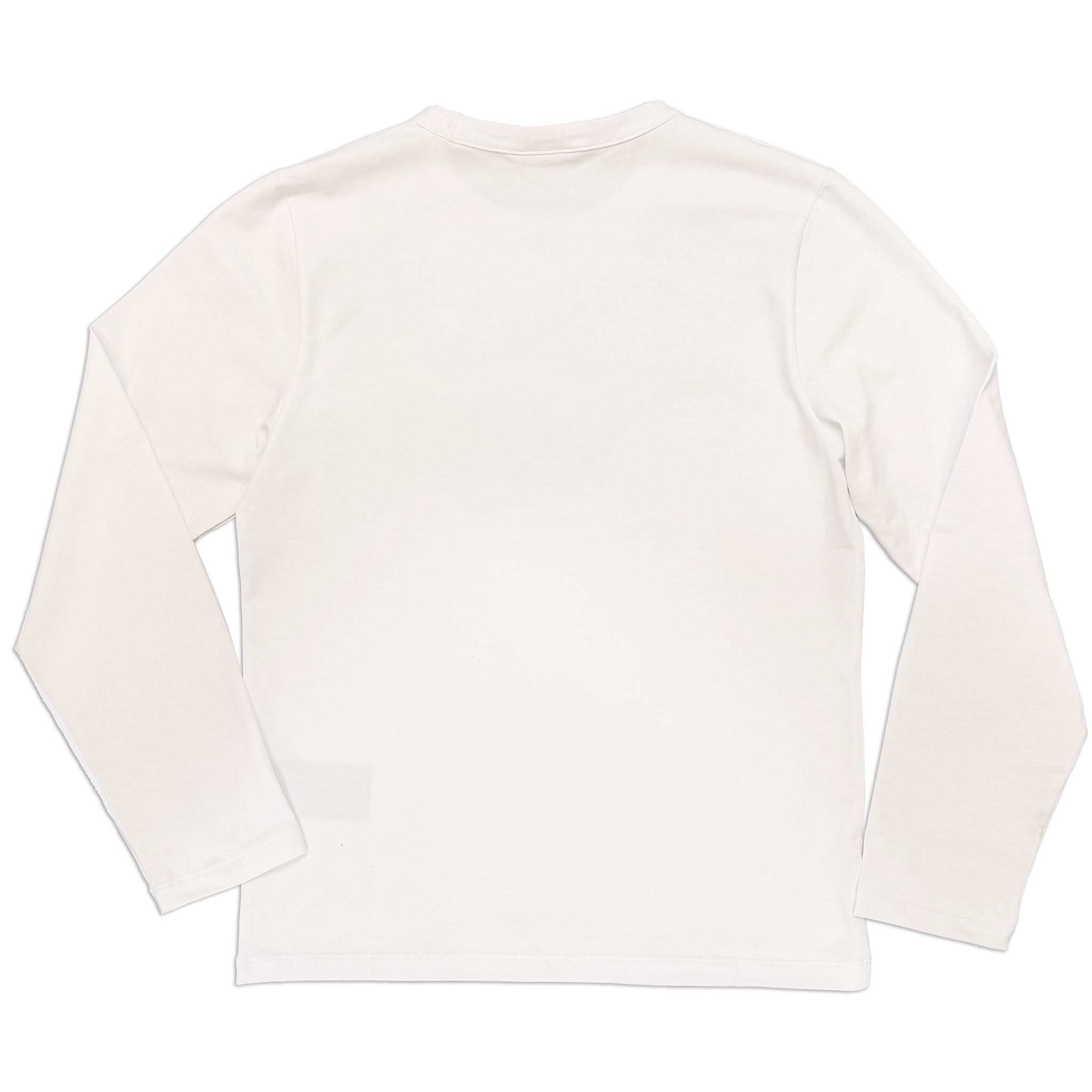 BIELASTIC UNIVERSITY 4R